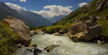 Summer in the mountains / ***