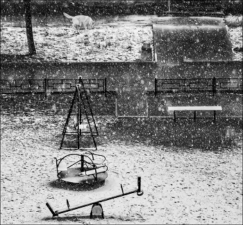 Snowfall. / ...