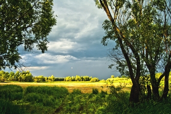 Before the storm / ***