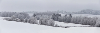 Snowfall / https://max-helloween.livejournal.com/220749.html