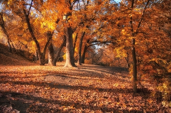 gold autumn / https://www.youtube.com/watch?v=xDf0vlPNhQk