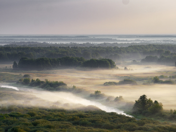 Fog dissipates / ***