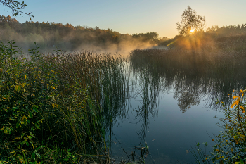 The first rays / ***