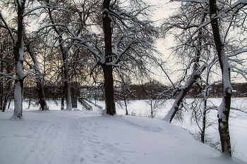 evening in the park / ***