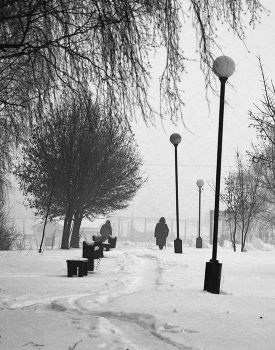 Snowfall / ***
