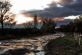 After the rain / ***