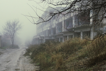 road in the fog / ***