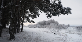 Winter / ***