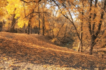 Autumn / ...