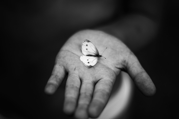 fragile life / ***