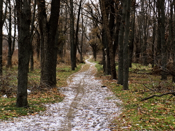 Road / ***
