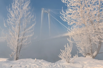 Cable-stayed bridge / ***