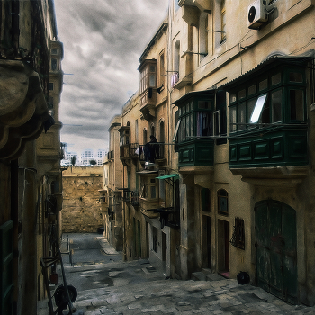 And in our yard ... / ***