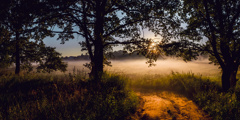 On a sunny morning / ...