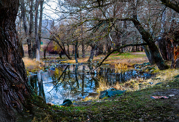 Tranquil wood / ***