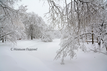 Happy New Year! / ***