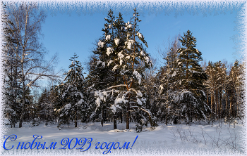 Happy New Year! / ***