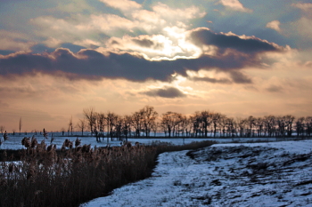 Winter evening ... / ***