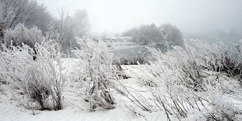 Frost on the grass. / ***