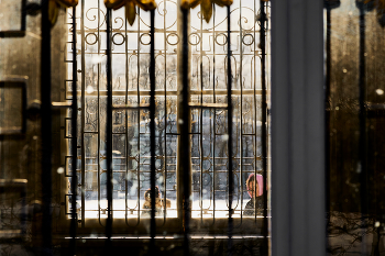 Window to the Past / ***