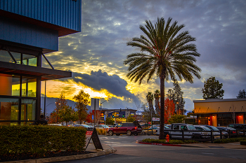 Southern Night / ....