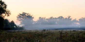 Fog at dawn. / ***