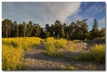 near Moscow evening / ***