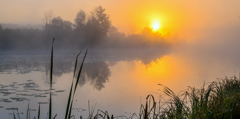 Autumn dawn. / ***