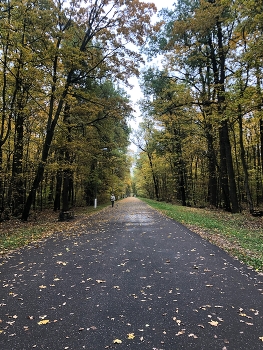 Lady with a dog / ***