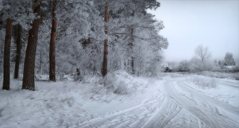 At the edge of forest / ***