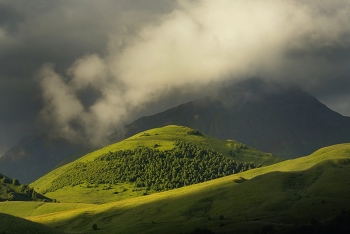 In the mountains of the Caucasus / ***