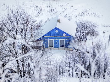 the snow / ***