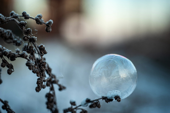 bubble / ***