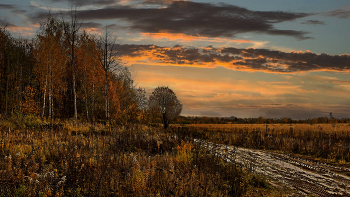 After the rain / ***