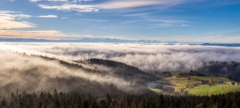 Land im Nebel / Nebel imRheintal an der Schweizer Grenze
