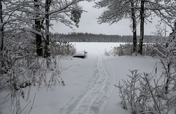Fishing trails / ***