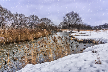 Snow falling / ...