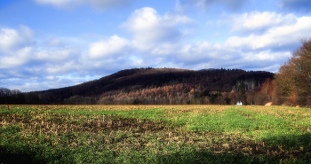 The January afternoon / ***