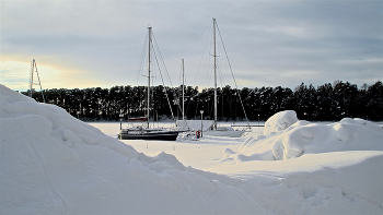 Wintering / ***
