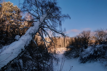 Spring evening. / ***