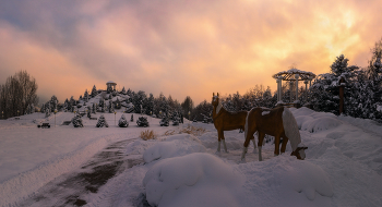 Winter evening ... / ***