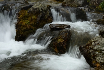 Mountain stream / ***