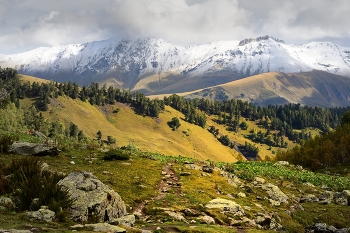 Valley Dzhalpakol / ***