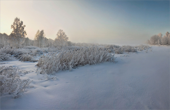 The cold breath of winter / ***