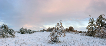 First snow / ***