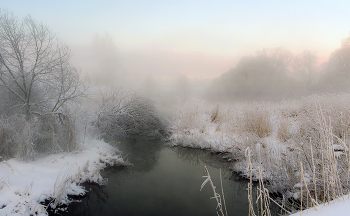 frosty morning by the river / ***