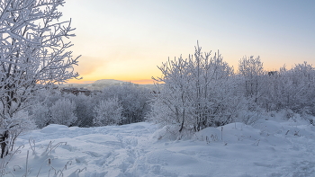 Freezing day / ***