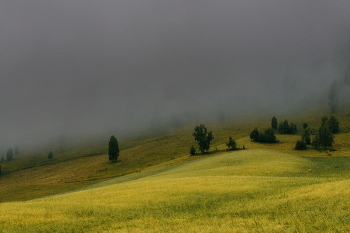 After the rain / ***