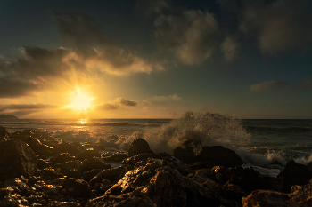 surf / ***