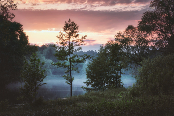 On the lake / ***